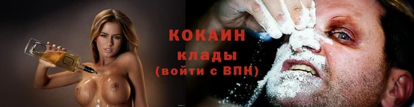 тгк Вяземский