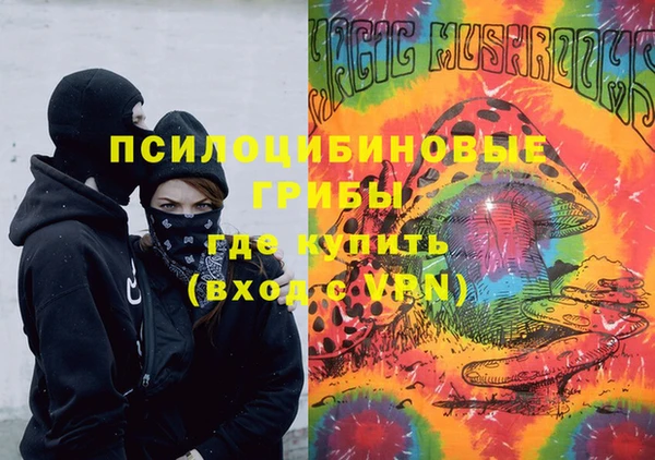 ешки Володарск